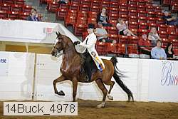14buck_4978 proof