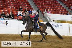 14buck_4981 proof