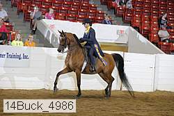 14buck_4986 proof