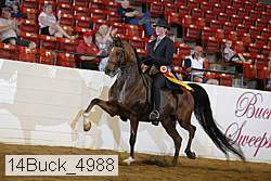 14buck_4988 proof