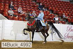14buck_4992 proof