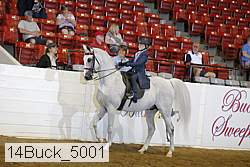14buck_5001 proof