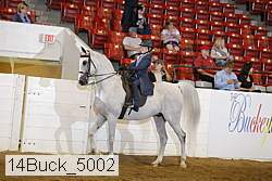 14buck_5002 proof