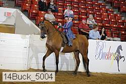 14buck_5004 proof