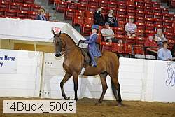 14buck_5005 proof