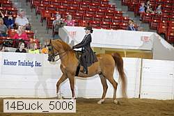 14buck_5006 proof