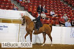 14buck_5007 proof