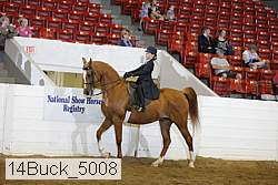 14buck_5008 proof