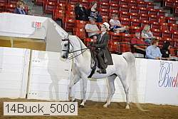 14buck_5009 proof