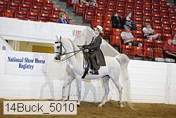 14buck_5010 proof