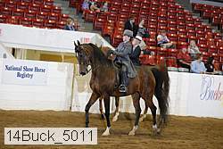 14buck_5011 proof