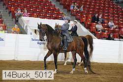 14buck_5012 proof