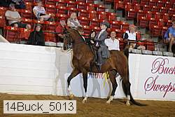 14buck_5013 proof