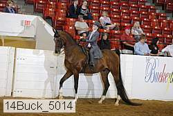 14buck_5014 proof