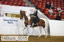 14buck_5015 proof