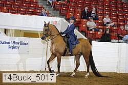 14buck_5017 proof