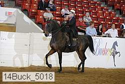 14buck_5018 proof