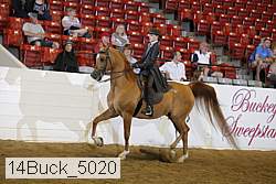 14buck_5020 proof