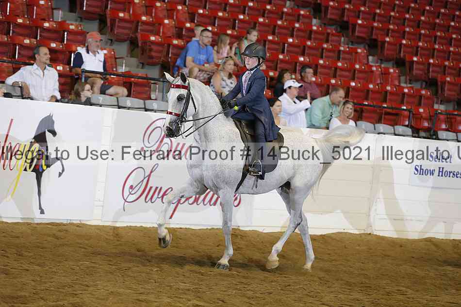 Proof 14buck_5021