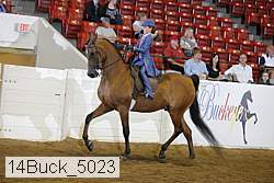 14buck_5023 proof