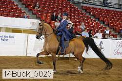 14buck_5025 proof