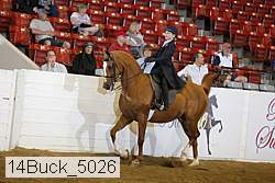 14buck_5026 proof
