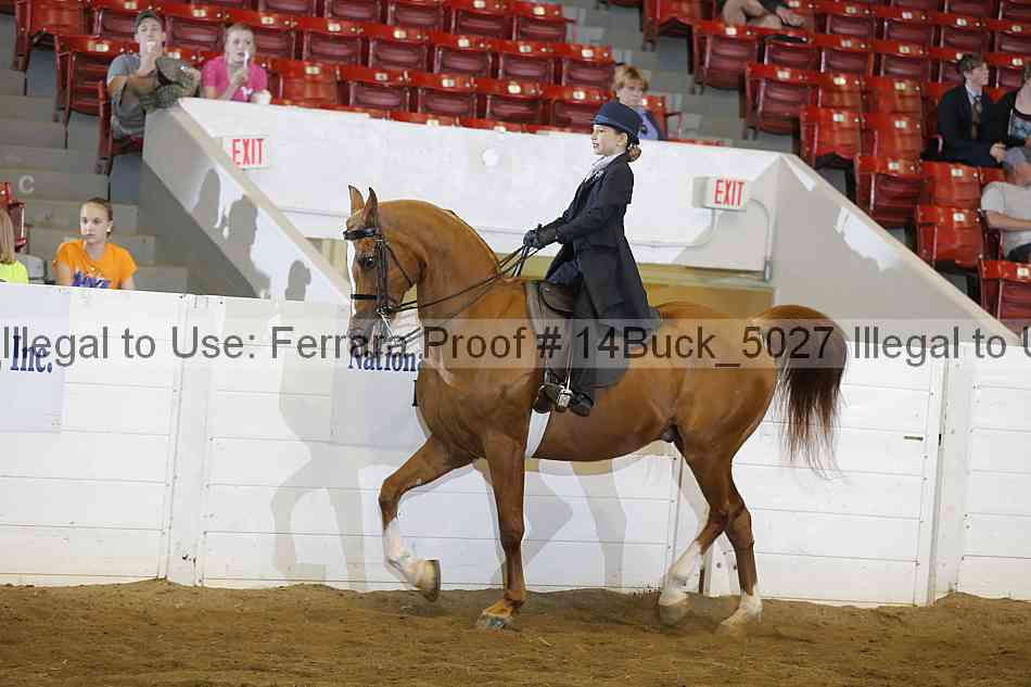 Proof 14buck_5027