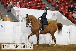 14buck_5027 proof