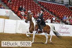 14buck_5028 proof