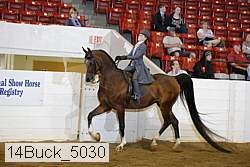 14buck_5030 proof