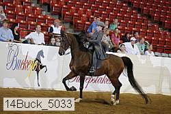 14buck_5033 proof