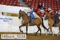 14buck_5034 proof