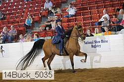 14buck_5035 proof