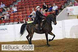 14buck_5036 proof