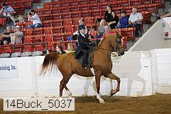 14buck_5037 proof