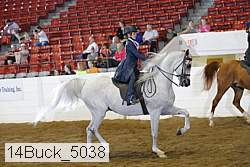 14buck_5038 proof