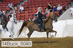 14buck_5040 proof