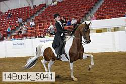 14buck_5041 proof