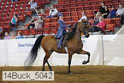 14buck_5042 proof