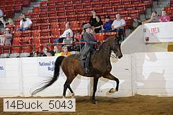 14buck_5043 proof