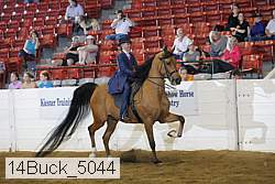 14buck_5044 proof