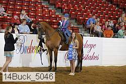 14buck_5046 proof