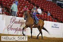 14buck_5047 proof