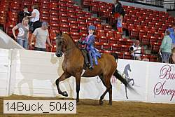 14buck_5048 proof