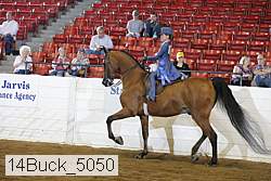14buck_5050 proof