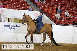 14buck_4997 proof