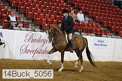 14buck_5056 proof