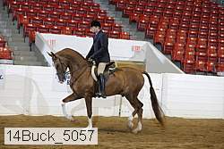 14buck_5057 proof
