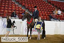 14buck_5060 proof