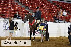 14buck_5061 proof